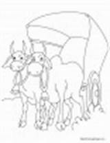 Cart Coloring Pages Bullock Standing Road Harnessed Bulls Two Kids sketch template