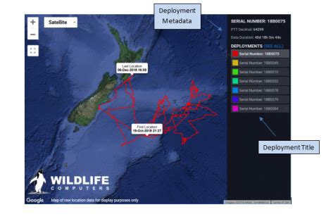map feature helping clients visualize data wildlife