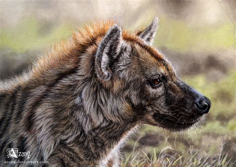 Spotted Hyena By Azany On Deviantart