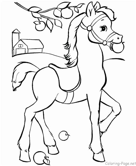 foal coloring pages  getdrawings