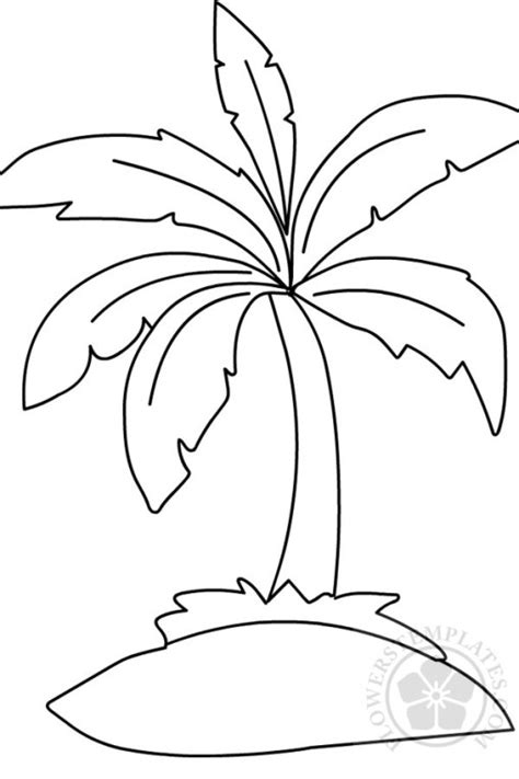 palm tree coloring page flowers templates