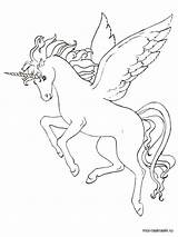 Coloring Pages Pegasus Color Number Unicorn Printables Kids Print Animals Printable sketch template