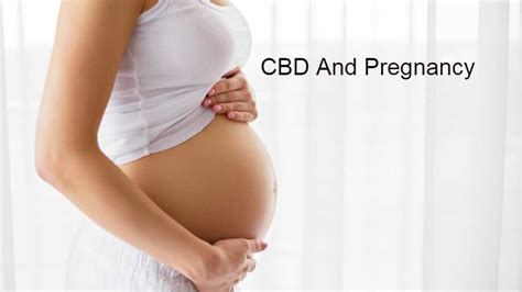 Cbd And Pregnancy Is It Safe To Use During Pregnancy And Breastfeeding