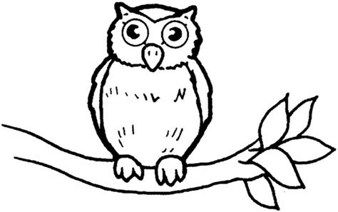 coloring pages  owl babies   coloring pages  owl