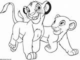 Coloring Pages Lions Lion Kids Printable Popular Animal sketch template
