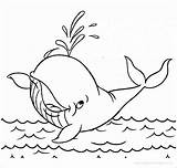 Whale Pdf sketch template
