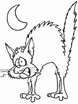 Halloween Moon Cliparts Coloring Pages sketch template