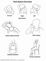 Neck Exercises Spasm Advisor Illustration Medicine Sports sketch template