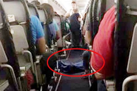 plane travel dead woman corpse laid out aisle daily star