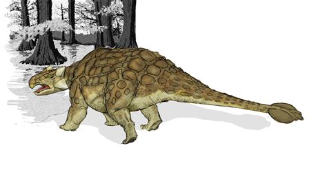 den   lizard king acks dinosaur ankylosaurus