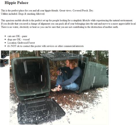 Too Much Crap Not Enough Shovels Hilarious Craigslist Roommate Ads 20