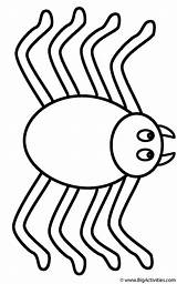 Coloring Spider Spiders Color Kids Insects Pages Print Creepy Crawly Bigactivities Activity sketch template
