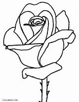 Coloring Pages Roses Rose Cool2bkids Flower Skull Kids Printable Plant Print Color Getdrawings Getcolorings sketch template