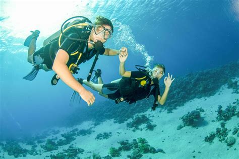fujairah  day scuba dive  snorkeling  dubai  guide dubai