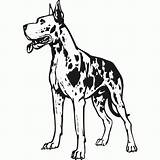 Dane Great Coloring Pages Dog Drawing Wall Sketch Decal Stickers Sticker Printable Lps Color Decor High Dogs Decals Getdrawings Popular sketch template