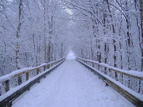 wallpaper winter scenes  grasscloth wallpaper