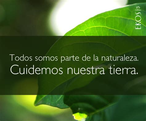 feliz  del medio ambiente  imagenes frases