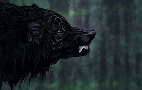 Werewolf Wolf Art Anime Wolf Black Wolf