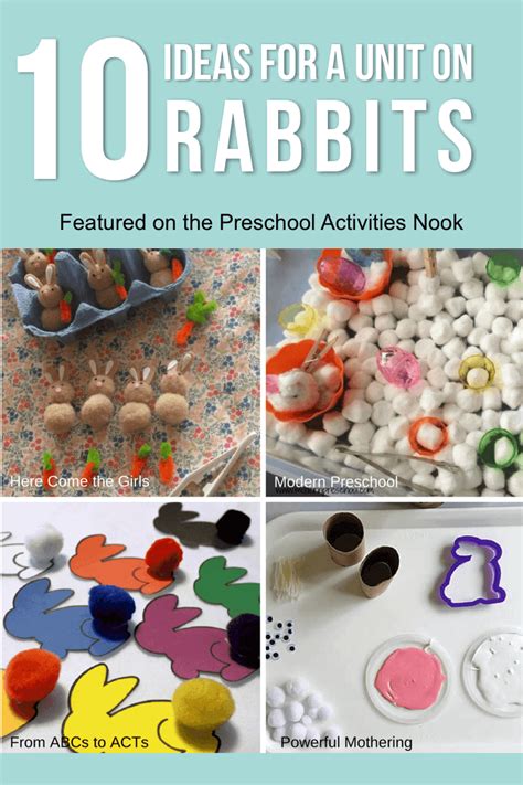 ideas  preschool rabbits unit preschool activities nook