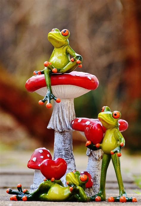 hd wallpaper frogs mushrooms figures cute funny animals sweet