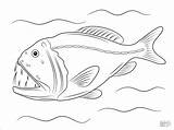 Coloring Fish Fangtooth Sea Pages Deep Drawing Printable Animals sketch template
