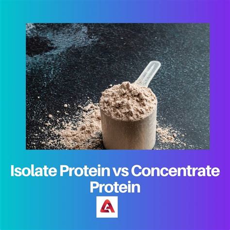 isolate protein  concentrate protein difference  comparison