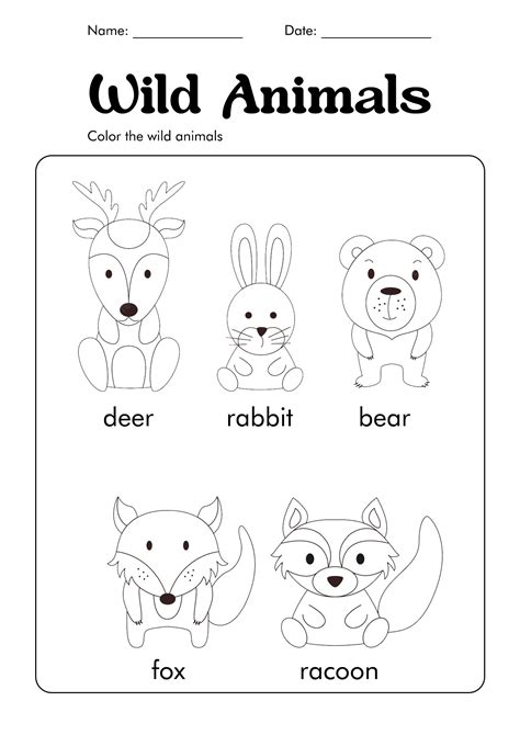 pet animal worksheets preschool    worksheetocom