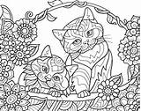 Cats Coloring Freebie Kittens Wildcats Colorit Book Pages Friday sketch template