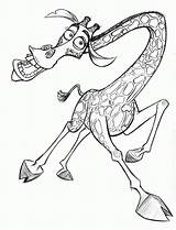 Madagascar Melman Colorir Girafa Gloria Colorironline sketch template