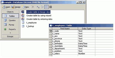 Data Entry Form แบบ Client Server