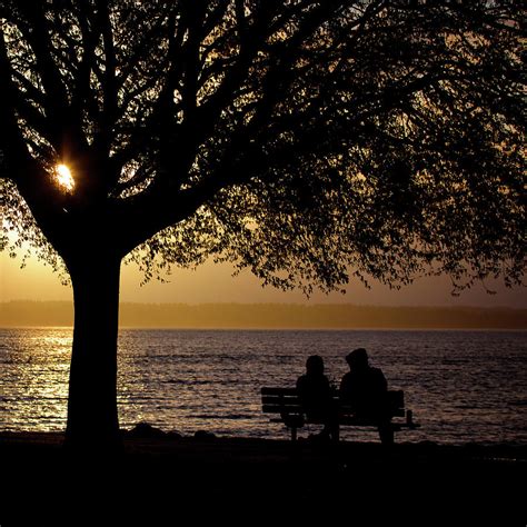 silhouette of couple sitting on bench photograph by evgeny vasenev