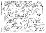 Wald Malvorlage Malvorlagen Waldes Grundschule Tier sketch template