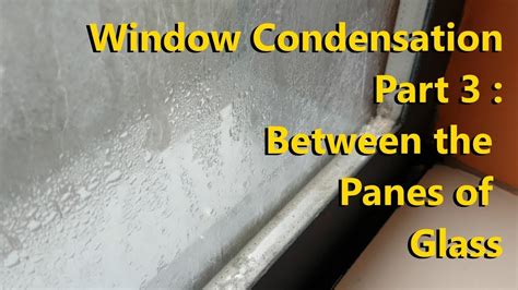 remove mold  double pane windows howtoermov