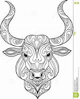 Bull Head Illustration Drawn Ornate Doodle Hand Coloring Taurus Preview sketch template