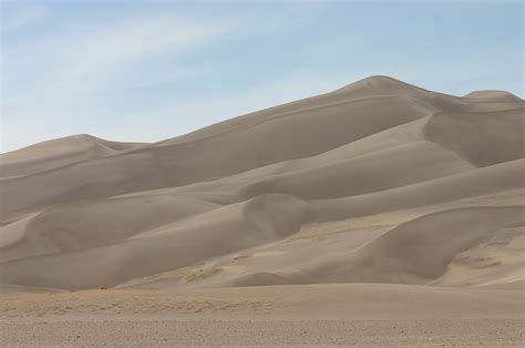 desert biome