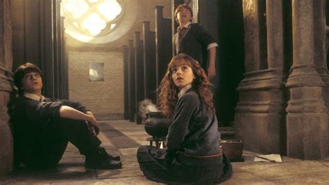 Hogwarts Witches And Wizards Relieved Themselves Without Bathrooms