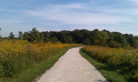 top  scenic dog walking routes  naperville     blog