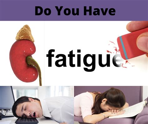 What Is Adrenal Fatigue And How Does It Manifest Vital Health Solutions