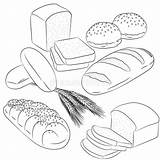 Bread Coloring Book Loaf Line Illustration Vector Baking Various Drawing sketch template