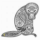 Platypus Coloring Australian Totem Zentangle Adult Pages Animals Tribal Stress Vector Anti Duck Duckbill Billed Doodle Therapy Animal Illustration Kidspressmagazine sketch template