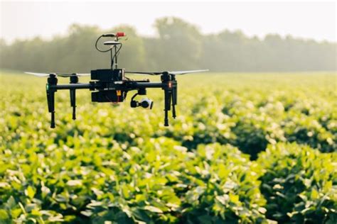 virginia tech drone research wins national kudos fruit growers news