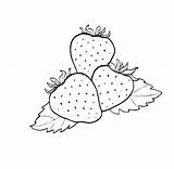 Strawberry Coloring Pages Strawberries Printable Drawing Line Sheet Sheets Colouring Fruits Fairy Fruit Malvorlagen Print Geburtstag Vegetables Cupcake Ausmalen Drawings sketch template