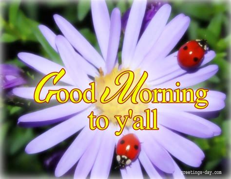 Greeting Cards For Every Day Good Morning Daily Ecards Photos And