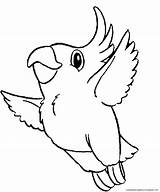 Bird Coloring Parrot Animal Pages Drawing Cute sketch template