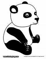 Panda Coloring Pandas sketch template