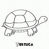 Tortuga Tortugas Plusesmas Ninos Fáciles Gratistodo Niñ Puedan Imprimirlas Colorearlas Ideal sketch template