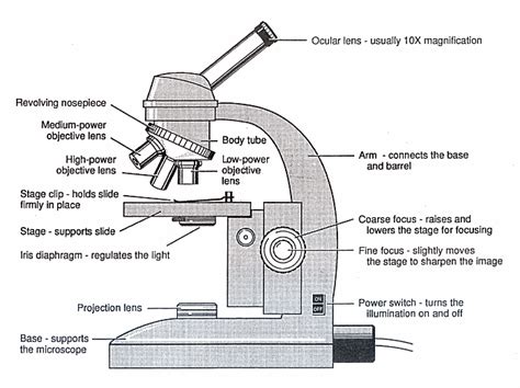 microscope lesson  tqa explorer