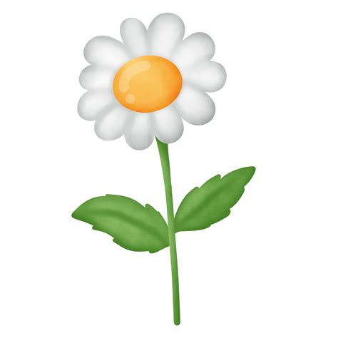 daisy flower clipart  png