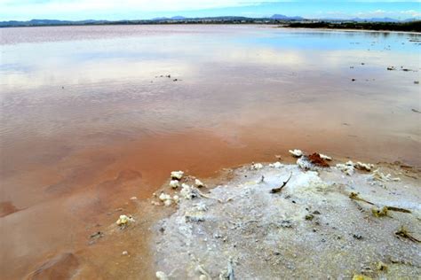 fietsen langs het roze zoutmeer van torrevieja spanje