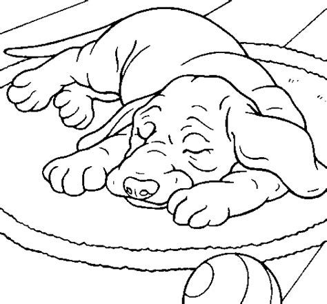 sleeping dog coloring page coloringcrewcom